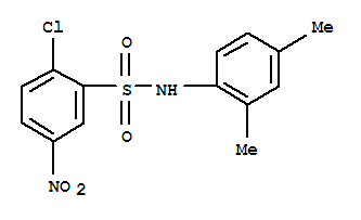 2-chloro-5-nitro-N-(2,4-xylyl)benzenesulphonamide